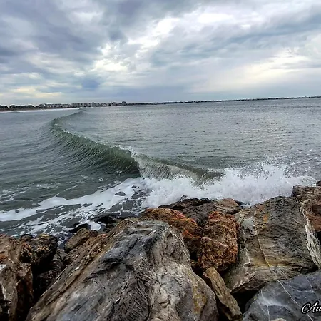 Les Sables D'or Grau Du Roi